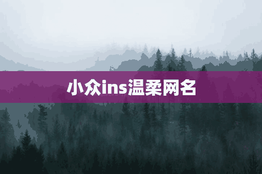 小众ins温柔网名